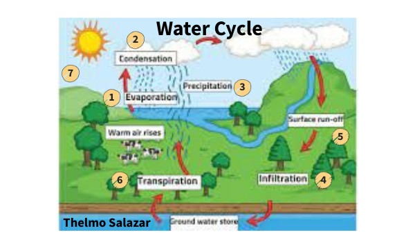 Hydrological Cycle