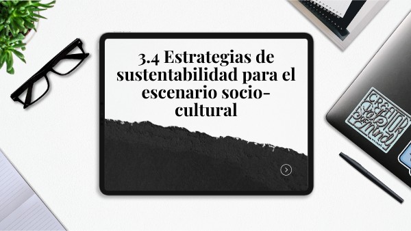 3.6 ESTRATEGIAS DE SUSTENTABILIDAD PARA EL ESCENARIO SOCIOCULTURAL