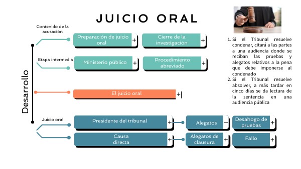 Guion De Un Juez En Un Juicio