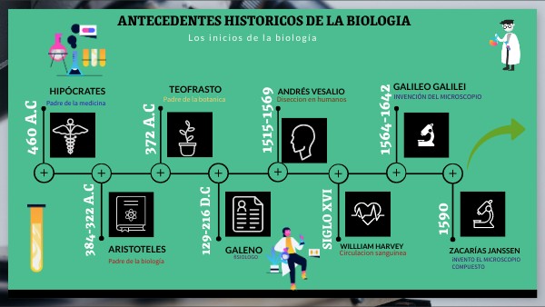 Linea Del Tiempo Antecedentes Historicos De La Biologia