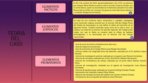 CUADRO SINÓPTICO TEORIA DEL CASO