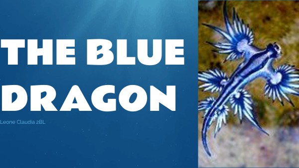 THE BLUE DRAGON