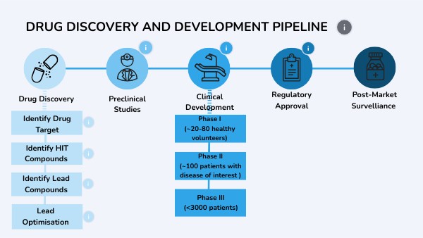 Drug Discovery and Development Timeline