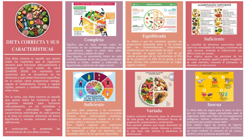 Dieta correcta y sus características