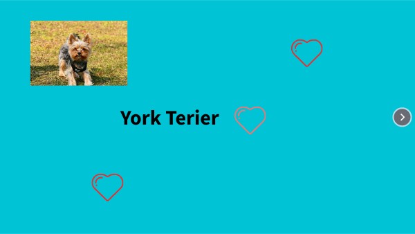 york