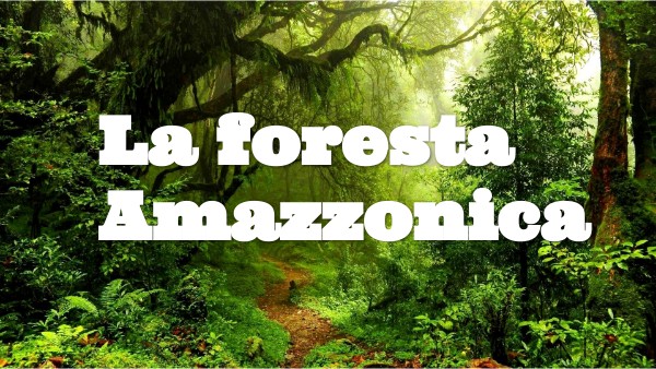 La foresta Amazzonica