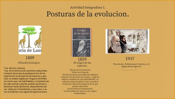 Linea de tiempo posturas de la evolucion.