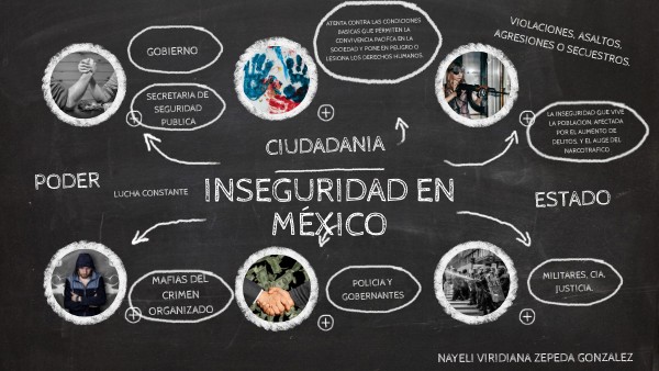 INSEGURIDAD EN MEXICO