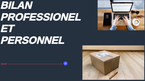 bilan personnel et professionel