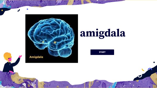 amigdala