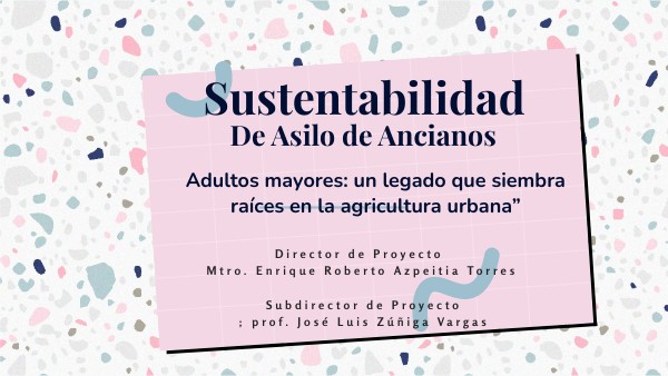 Conclusion De Un Proyecto De Asilo De Ancianos view.genial.ly