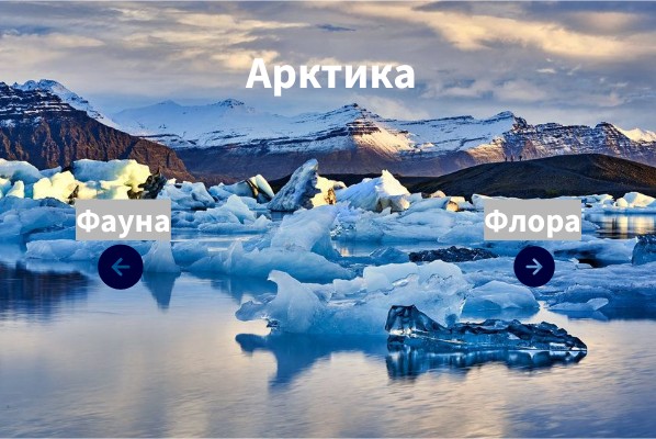 Арктика