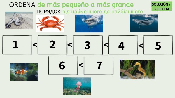 ORDENA DE MÁS PEQUEÑO A MÁS GRANDE