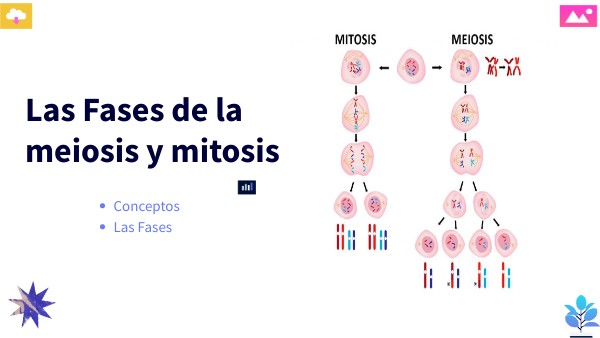 La Mitosis y Meiosis