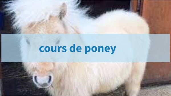 cours de poney