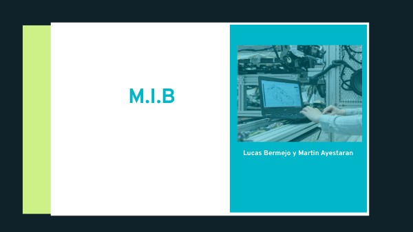 M.I.B
