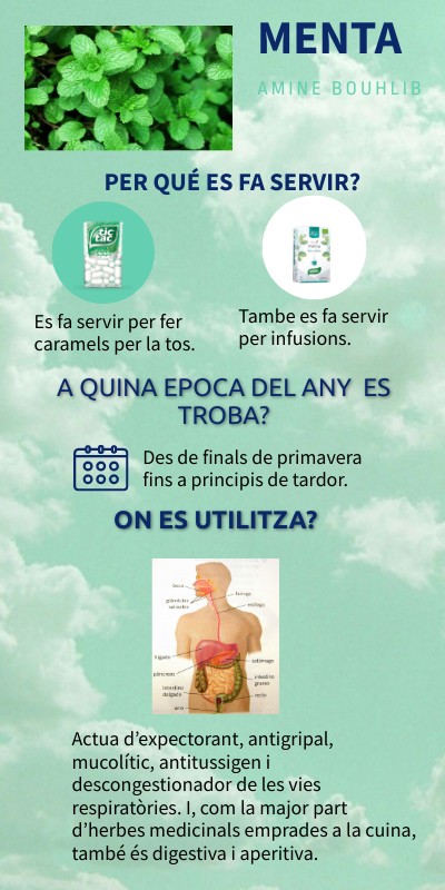 menta INFO