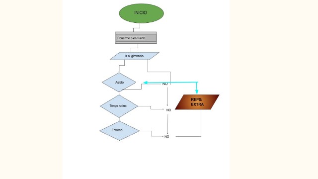 STAGES OF HUMAN EVOLUTION