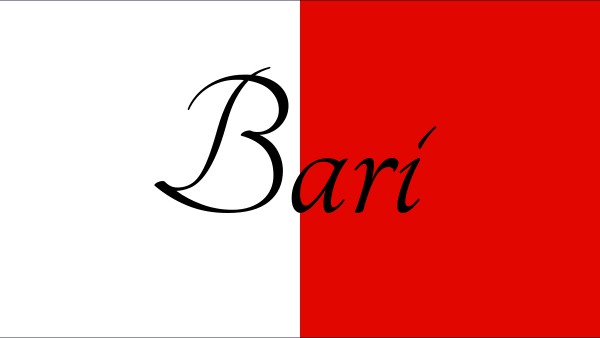Ecoservicio Srl Bari