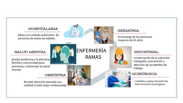 Cuales Son Las Ramas De La Enfermeria
