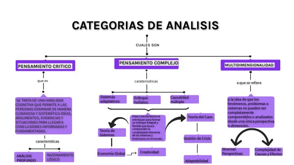 MAPA CONCEPTUAL CATEGORÍAS DE ANÁLISIS