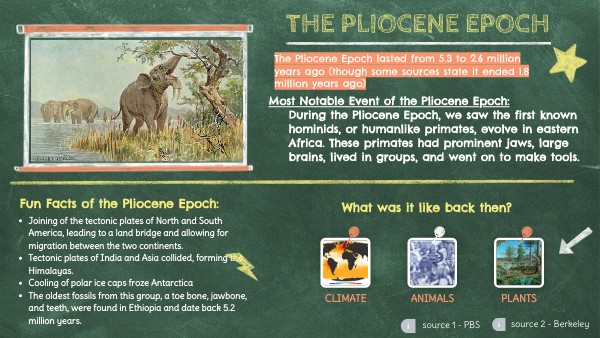 pliocene