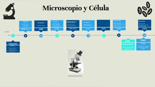 Línea del tiempo -CELULA Y MICROSCOPIO