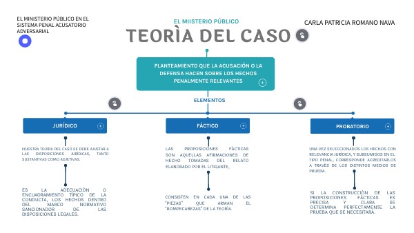 TEORÍA DEL CASO