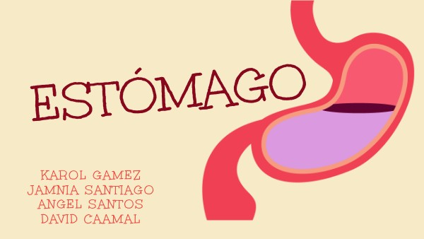 ESTÓMAGO