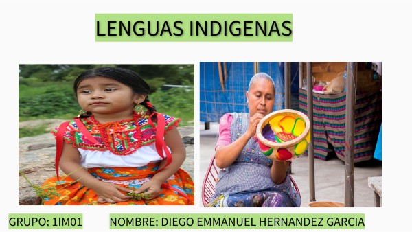 LENGUAS INDIGENAS