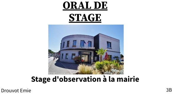 Diaporama Oral de stage