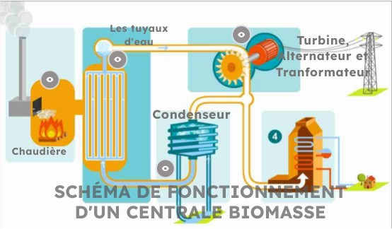 Fonctionnement d'une centrale biomasse
