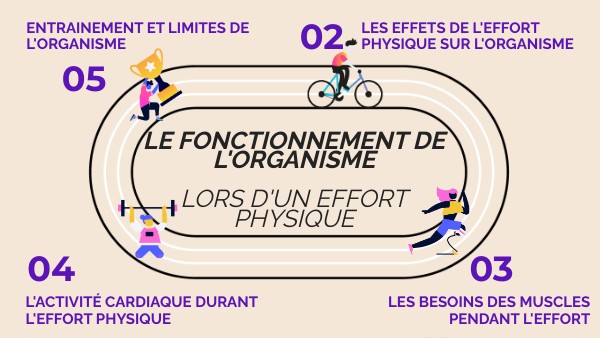 Cycle 4 : Fonctionnement de l'organisme pendant l'effort