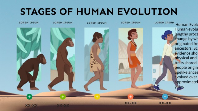 10 Characteristics Of Human Evolution, How It Was, Chart And Stages ...
