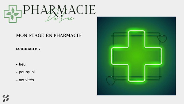 Page De Garde D'un Rapport De Stage En Pharmacie stage pharmacie