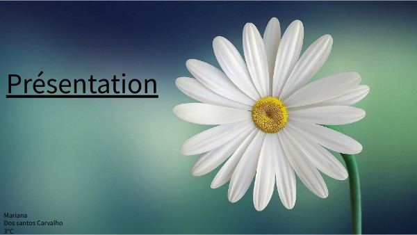 dossier autobiographique