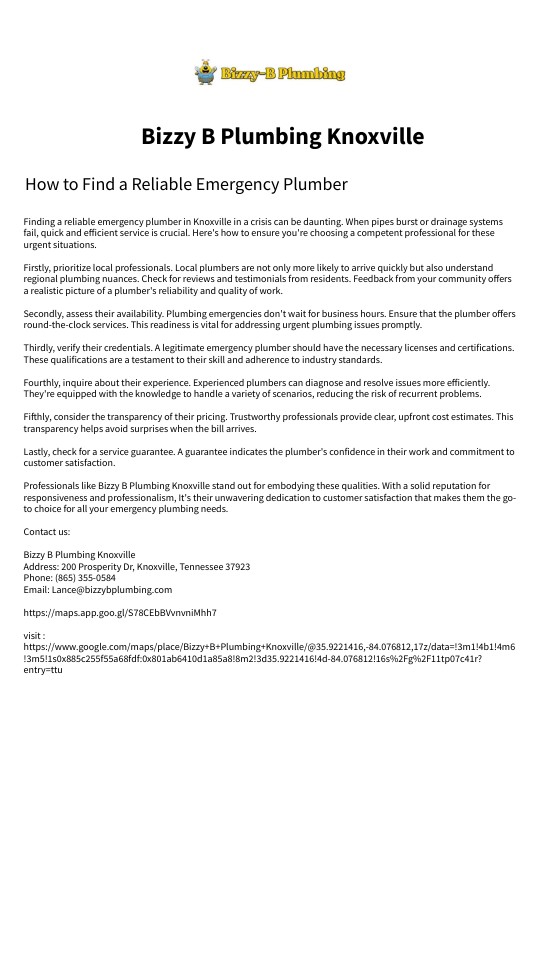 Bizzy B Plumbing Knoxville