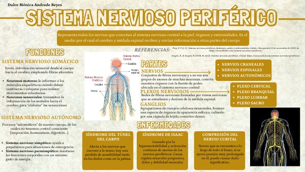 SISTEMA NERVIOSO PERIFÉRICO
