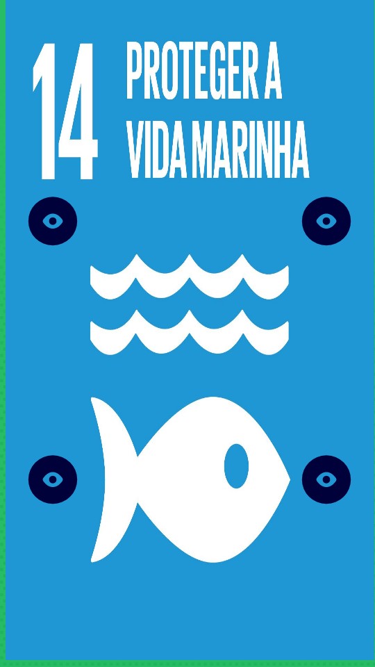 ods-14-metas-objetivo-de-desarrollo-sostenible-14-vida-submarina-dfxdx