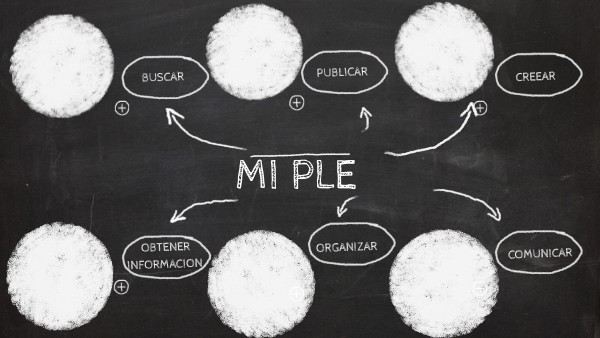 PLE