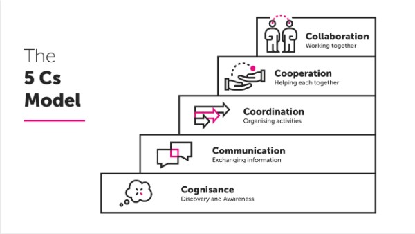 The 5Cs Model