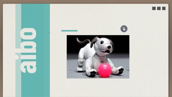 aibo entertainment player