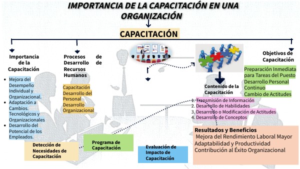 Importancia de la capacitación en una organización