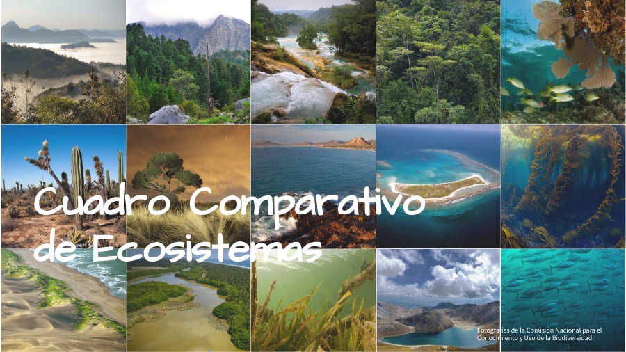 CUADRO COMPARATIVO de los ecosistemas