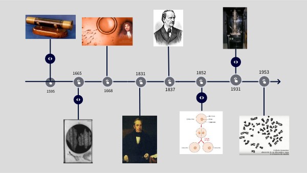 Frise Chronologique Microscope