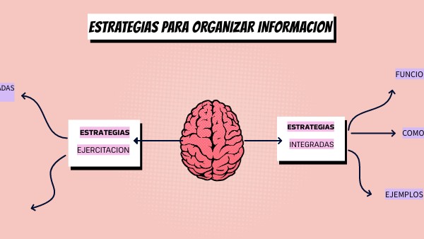 ESTRATEGIAS PARA ORGANIZAR INFORMACION