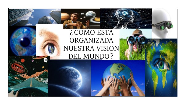 Como Está Organizada Nuestra Visión Al Mundo