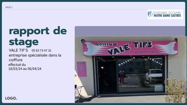 rapport de stage